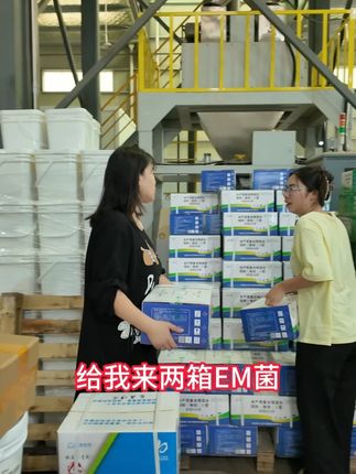 #EM菌 调水稳水助肥水,降氨氮亚盐#厂家实拍 #鱼虾蟹养殖