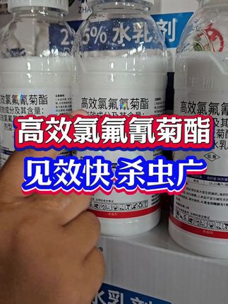 #杀虫剂 #功夫菊酯 #高效氯氟氰菊酯 #虫害防治 #地上地下害虫通杀