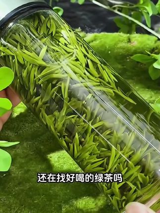 特级雀舌绿茶2025新茶湄潭明前头采嫩芽高山手工明前毛尖浓香 特级雀舌绿茶2025新茶湄潭明前头采嫩芽高山手工明前毛尖浓香型,短标题: 毛尖茶优惠链接#今天你喝茶了吗 #爱喝茶的关注我 #召唤茶友 #茶叶 #好喝不贵