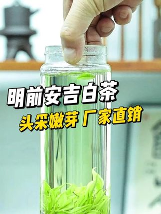 明前新茶上市,我们家这款安吉高山白茶,干茶颗颗饱满,茶汤通透明亮,满满的兰花香!#安吉白茶 #绿茶 #新茶上市