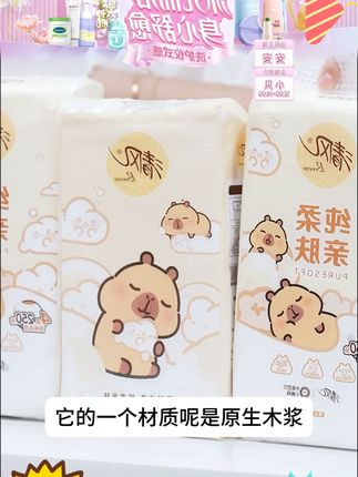 清风挂抽10提卡皮巴拉纸巾整箱悬挂式抽纸4层加厚250抽家用卫生纸#悬挂抽纸 #纸巾 #抽纸 #卫生纸 #抽纸巾