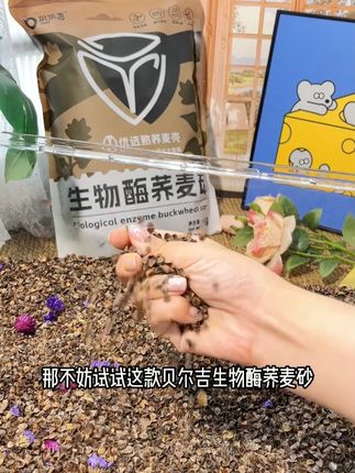 夏天都过去一大半了 还没给鼠鼠找到合适的夏日垫料吗 #金丝熊 #养鼠日常分享 #仓鼠 #鼠鼠我呀 #养熊日记