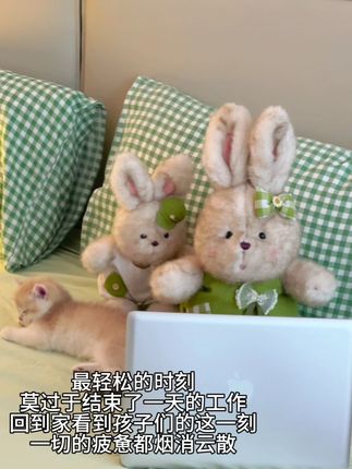 最轻松的时刻 莫过于结束了一天的工作回到家看到孩子萌的这一刻#兔子玩偶 #毛绒玩具 #布娃娃 #玩偶
