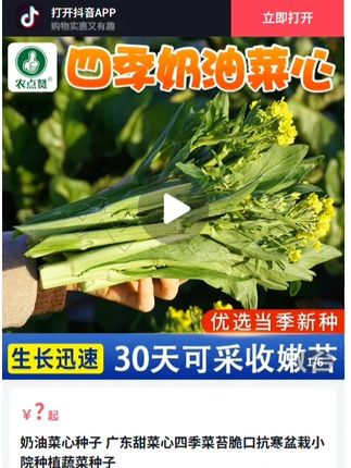 #蔬菜种子  #优质农产品  #种子  #在家种菜