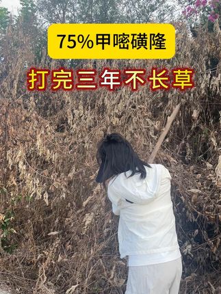 75%甲嘧磺隆 打完三年不长草 #热点 #除草 #除草剂 #甲嘧磺隆 #三农