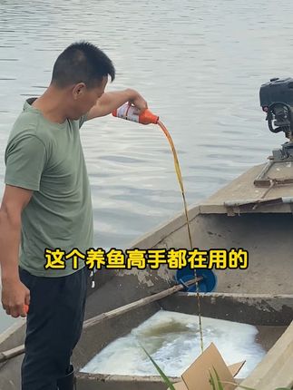 85#水产养殖 #四大家鱼养殖 #红点消 厂家直发,用法简单,兑水泼。
