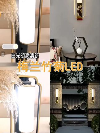 中国风大气新中式壁灯全铜梅兰竹菊LED壁灯客厅卧室楼梯玄关走廊 #中式灯具 #新中式壁灯 #壁灯推荐 #壁灯卧室 #新中式灯具