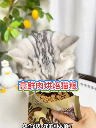 诚实一口6.9的羊毛试吃养猫人一定要薅!这个黑金猫粮简直王炸适口性超级好#萌宠好物