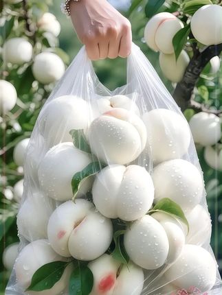 #大人小孩都爱吃#脆甜多汁#桃子熟了#白桃