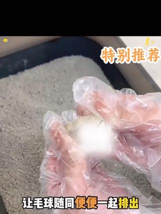 云杉排毛冻干猫零食去毛化毛球天然健康猫草美味营养猫咪狗零食 #冻干 #猫咪排毛 #排毛冻干