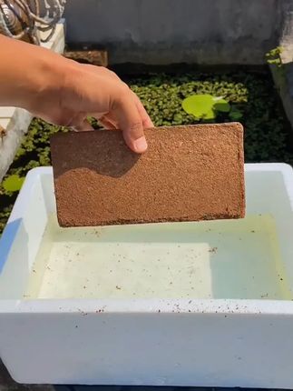【拍1送9块】赠肥椰砖低盐土养花种菜营养土通用型绿植栽培育苗椰土#营养土 #营养土推荐 #椰土 #椰土营养砖 #种植土