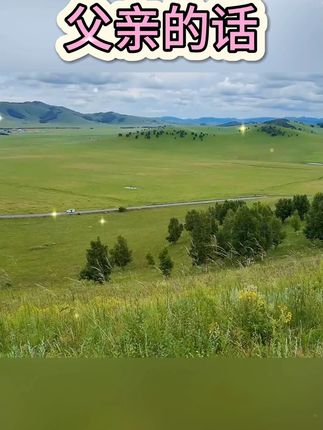 #父亲的话  #摆件  #父亲的心声