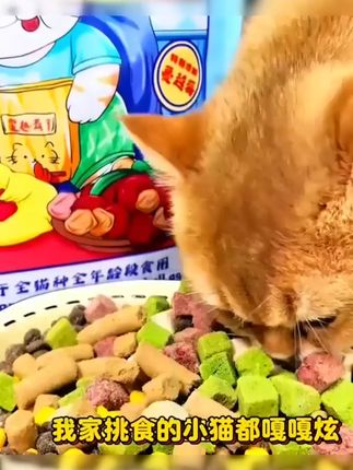 【爆款猫粮】豆七七成幼猫粮冻干多拼全价猫粮高营养性价比猫粮推荐 #冻干 #爆款 #粮豆