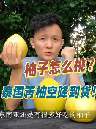 “泰国老树青柚,吃一口就会念念不忘的幸运果!” 这可不是普通柚子,它是泰国百年老树孕育的果中贵族,连泰国王室都钦点的贡品级美味!🔥果肉晶莹剔透如玉石,汁水多到能“喝柚子”!甜中带一丝清爽酸感,完全不涩不麻,颠覆你对柚子的认知!徒手就能剥开!果肉饱满到炸裂,一颗能啃半天,懒人吃货直接狂喜~#泰国青柚 #爆汁 #柚子 #吃柚子的正确方式 #柚子皮