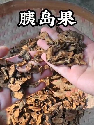 #闽南 #闽南语 #闽南人 #闽南文化 #闽南风俗