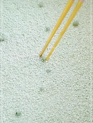 用过的铲屎官都说旧铲子可以直接退休了!养猫人速冲,早买早享受 #猫砂铲 #萌宠好物便 #新手养猫 #平价养宠