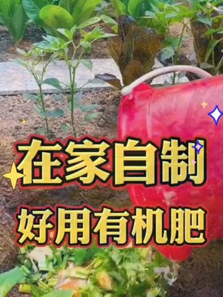 堆肥菌菌种发酵菌糠厨余堆肥桶垃圾沤肥箱EM菌发酵剂菌粉高浓度#有机肥 #发酵剂 #堆肥菌菌种 #堆肥菌 #园艺肥料