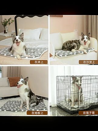 宠物垫子狗狗垫子猫咪睡觉垫子双面秋冬季加厚保暖床垫宠物窝笼垫#宠物用品 #秋冬宠物垫 #加厚床垫 #猫狗适用 #宠物睡觉垫
