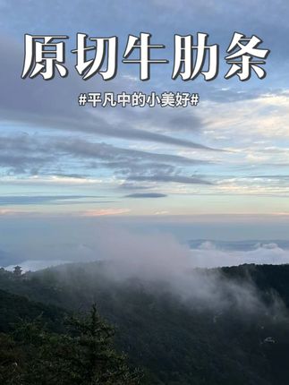 麦牛客原切谷饲牛肋条进口精品去骨雪花奶香鲜嫩牛肉500g*2盒