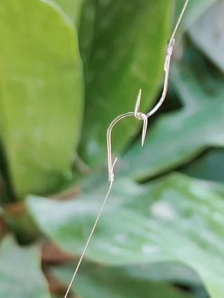 曾大盆快意江湖飞磕袖成品子线双钩碳线黑坑袖钩防缠绕正品鱼钩 #鱼钩 #子线双钩 #防缠绕鱼钩