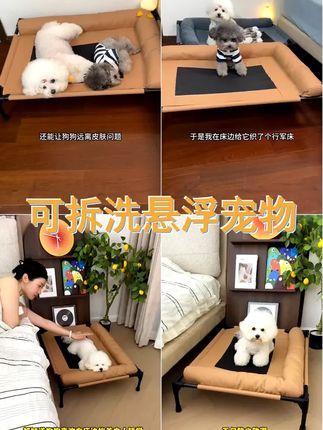 宠物行军床可拆洗悬浮离地设计透气狗窝猫窝四季通用宠物用品 #猫窝 #萌宠好物 #狗床 #狗狗行军床 #养狗经验分享