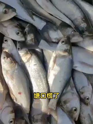 #水产养殖 #四大家鱼养殖 #寄生虫