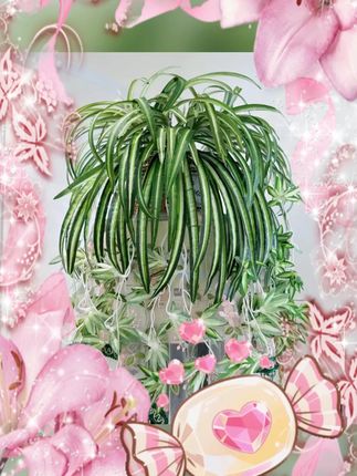 #客厅仿真吊兰 #室内仿真绿植 #家居绿植装饰 #仿真吊兰盆栽 #客厅绿植摆件 空调客厅仿真吊兰仿真绿植