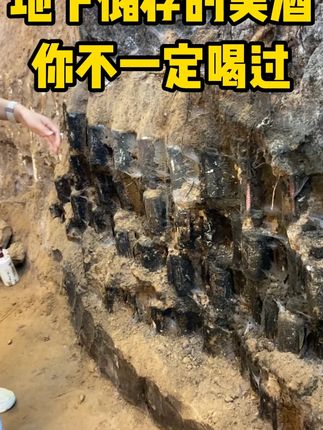有没有见过埋在地下的美酒?埋藏在地下很多年的纯粮美酒!#白酒 #纯粮酿造 #酒文化传承 #酒厂     #酒厂实拍