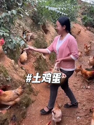 #土鸡蛋 #鸡蛋 #山林散养土鸡蛋 #土鸡蛋土鸡 #蛋
