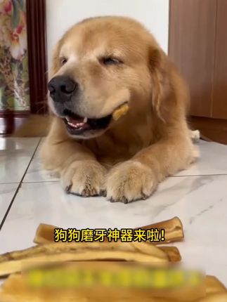 风干原切牛皮狗狗磨牙神器 #磨牙棒#狗零食#狗狗#狗解馋小零食#狗狗磨牙棒推荐