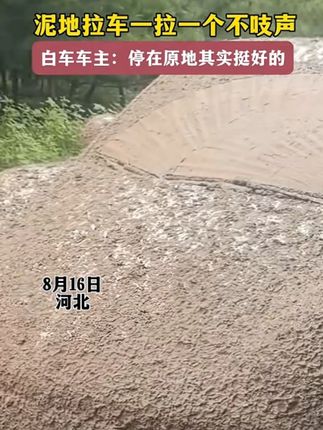 你永远可以相信文字的力量! 相信在这本书里,你也能感受到生命的震撼,自然的广阔,收获一种重新活过来的力量。#额尔古纳河右岸 #好书分享 #读书成长 #文字的力量 #致敬伟人