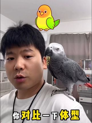 鹦鹉瘦?挑食?怎么办?养殖场是如何解决的?