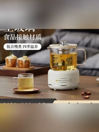 迷你养生壶小型办公室长效保温学生养生杯花茶壶煮茶烧水壶送礼品#养生壶 #烧水壶 #茶生活 #喝出好气色 #煮茶器