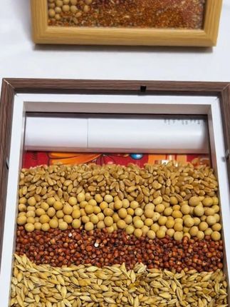 乔迁之喜装饰五谷丰登摆件木柴火新居布置玄关全套搬家入宅仪式品#福到我家 #入宅大吉 #乔迁之喜 #乔迁用品 #乔迁摆件推荐