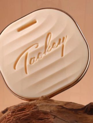 理想之地情绪香挂车载香薰家居持久香氛净化除味清新 礼物        #车载香薰 #香薰 #香挂香薰 #香氛香薰 #汽车香薰