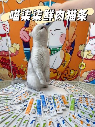 100根鲜肉猫条只要19块6,多猫家庭你就多囤点吧。 #新手养猫 #猫条 #科学养宠攻略 #萌宠好物