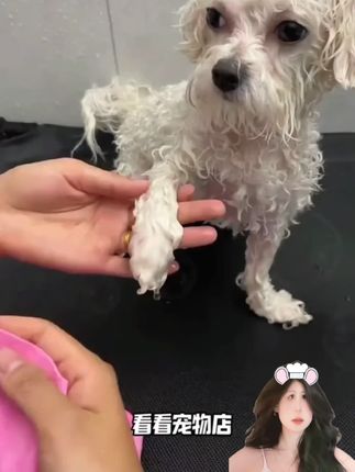 宠物速干鹿皮吸水毛巾加厚猫咪洗澡吸水毛巾仿鹿皮毛巾不掉毛巨厚