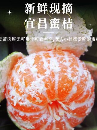【树上自然熟】宜昌无籽蜜橘青皮蜜桔酸甜应季新鲜水果现摘整箱 #新鲜应季水果 #新鲜采摘 #橘子 #蜜桔 #无籽蜜桔
