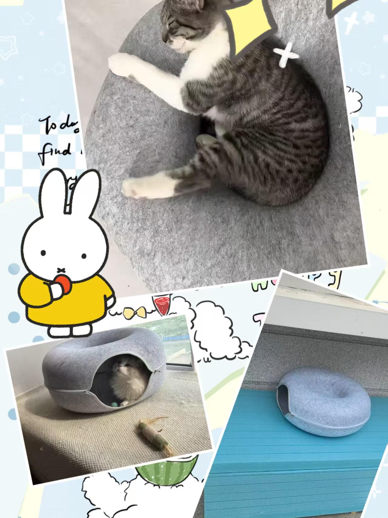 四季可用的猫窝,猫咪爱的不行这个真的不会闲置