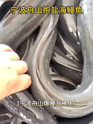 宁波舟山爆腌海鳗鱼3斤左右大青鳗切段腌制(宁波口味)清蒸即可