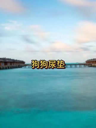尿垫这种消耗品,就得选这种便宜又好用的 #狗狗尿垫 #宠物尿垫 #新手养狗