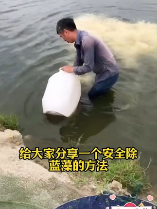 给大家分享一个安全除蓝藻的方法711#四大家鱼养殖 #水产养殖 #鱼虾蟹养殖 #水产养殖技术 #鱼塘