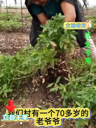 #农业种植 #优质农产品