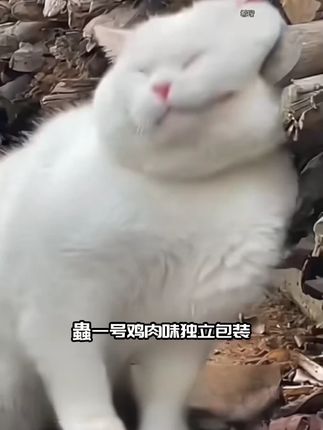 蟲一号 鸡肉味独立包装体内外寄生虫驱虫