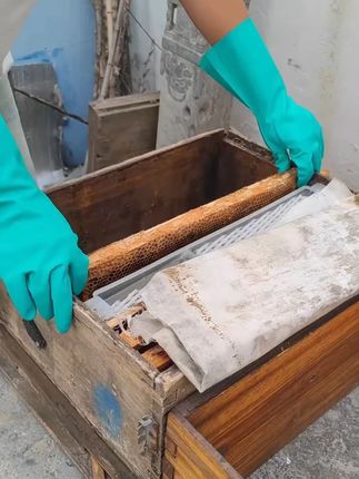 养蜂防蜂手套防蜜蜂防胡蜂防蛰手套专用抓蜜蜂收蜂防护蜜蜂蜂具#养蜂用品 #防蜂手套 #蜂具 #养蜂防护 #抓蜜蜂