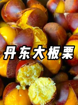 正宗丹东生板栗新鲜栗子当季新鲜水果现摘大板栗 #美食 #超好吃 #板栗 #吃货必备 #好吃推荐