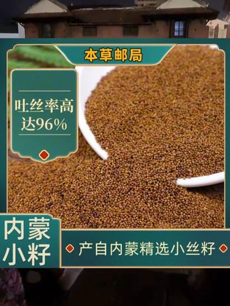 内蒙古兔.丝子精选菟小丝子内蒙小籽自然产品泡茶泡水【送5克量勺】#内蒙小籽 #小丝子 #内蒙小丝子 #菟小丝子 #内蒙古兔丝子