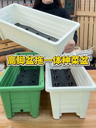 高脚盆拖一体种菜盆n #花盆 #花盆清仓捡漏大号 #多肉花盆 特大号花盆#花盆网红款