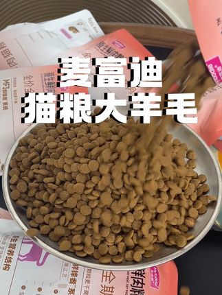 麦富迪新出的原生鲜肉猫粮,小猫吃的停不下来#麦富迪原生鲜肉猫粮 #麦富迪原生鲜肉粮 #科学养宠攻略 #猫咪黑下巴 #养猫新手