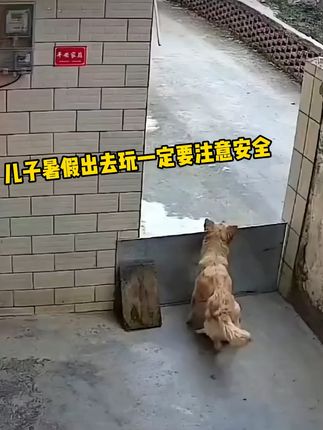 猫后生配音秀
